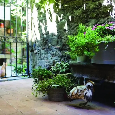 Bed & Breakfast La Del Riccio Viterbo