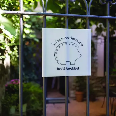 La Del Riccio * Viterbo